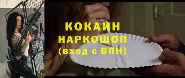 ГАЛЛЮЦИНОГЕННЫЕ ГРИБЫ Лагань